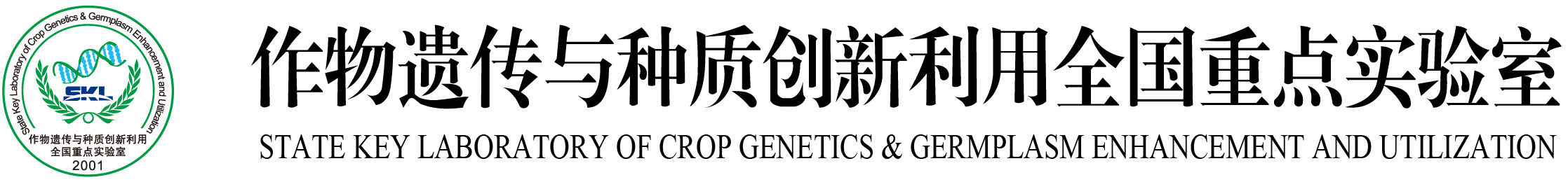 Logo 2
